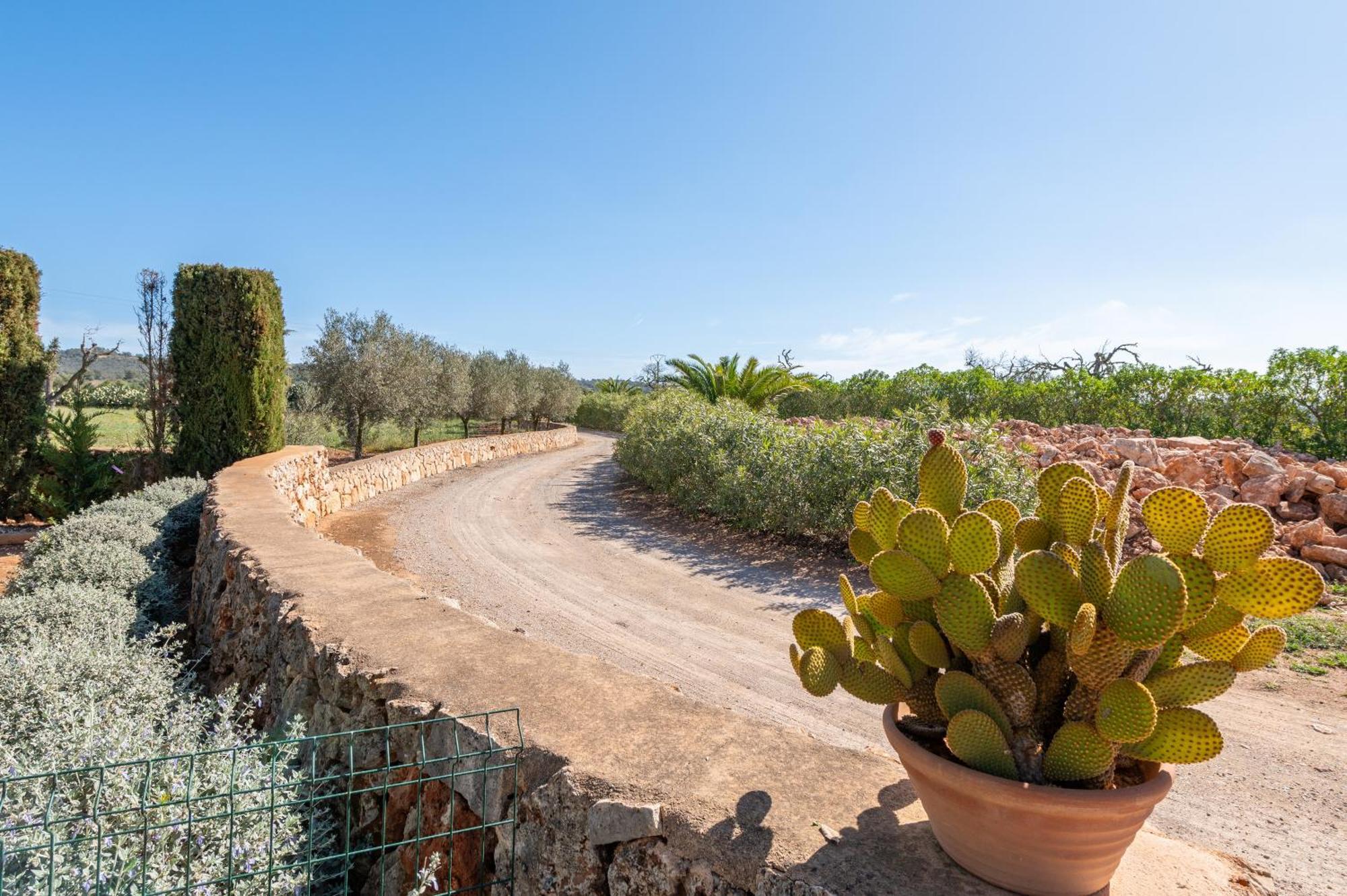 Ses Oliveres Campos  Exterior foto